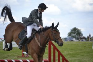 horse-965625_960_720