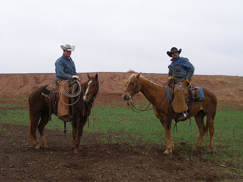 800px-texascowboys2